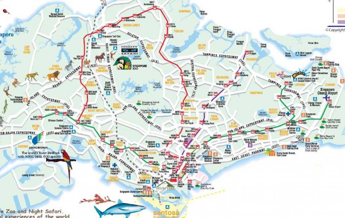 Drogowa mapa Singapur
