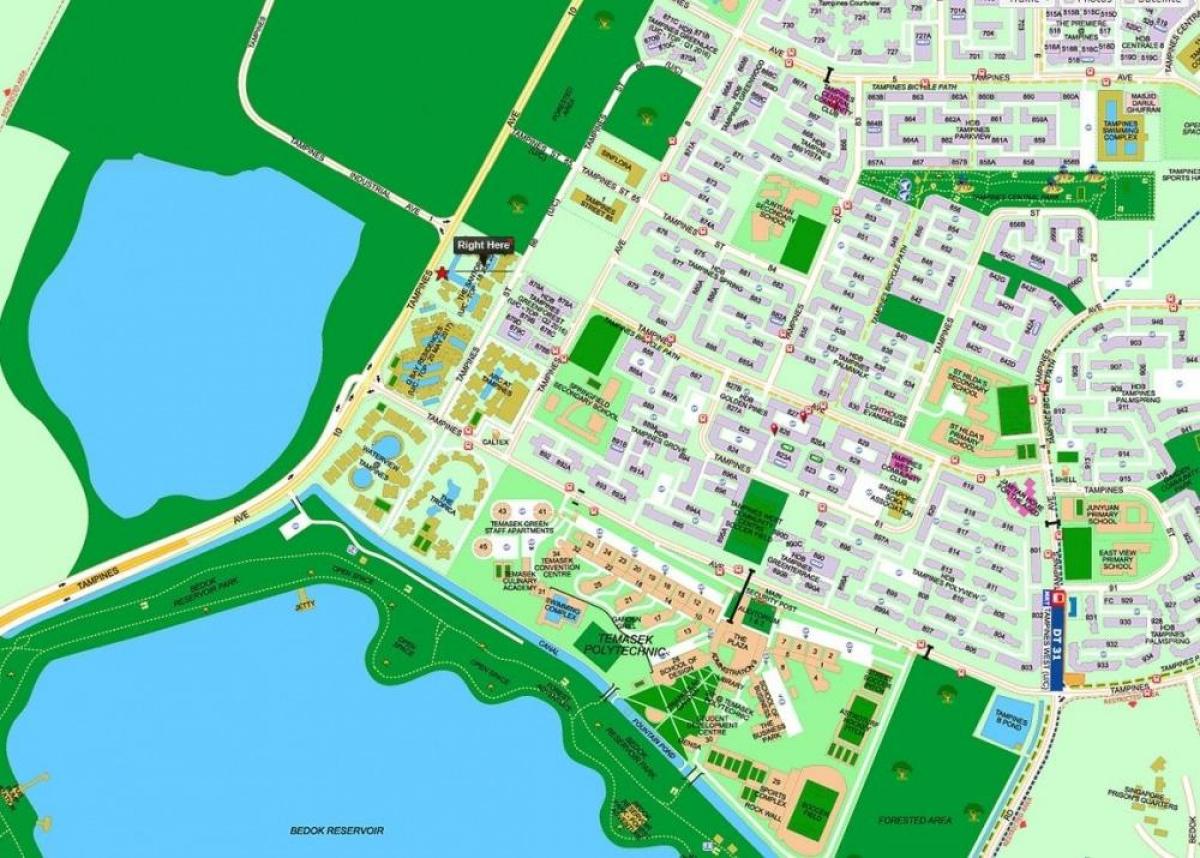 mapa Singapur тампинс